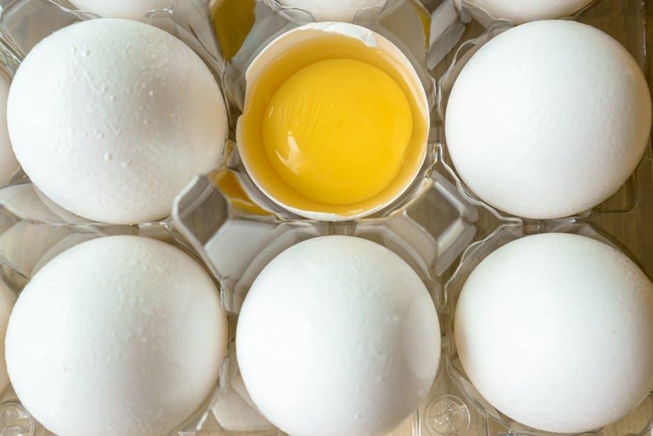 The Different Types of Cholesterol and Their Roles