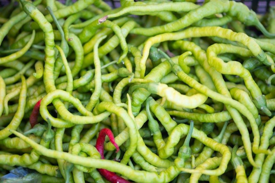 Addressing Concerns About Cost and Accessibility of Plant-Based Foods