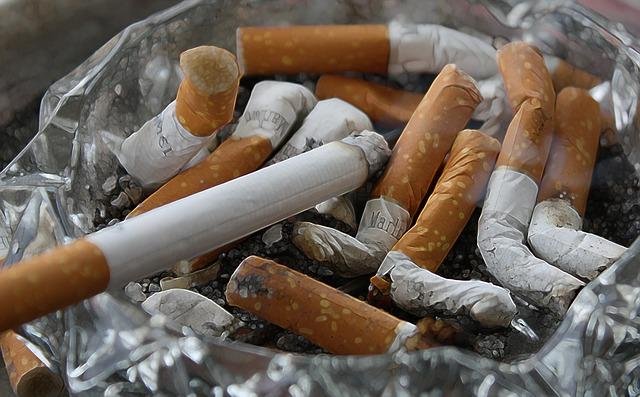 Daily Habits That Prevent Illness