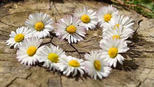 Best Lifestyle Habits for a Strong Heart
