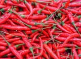 How to Batch Cook Like a Pro