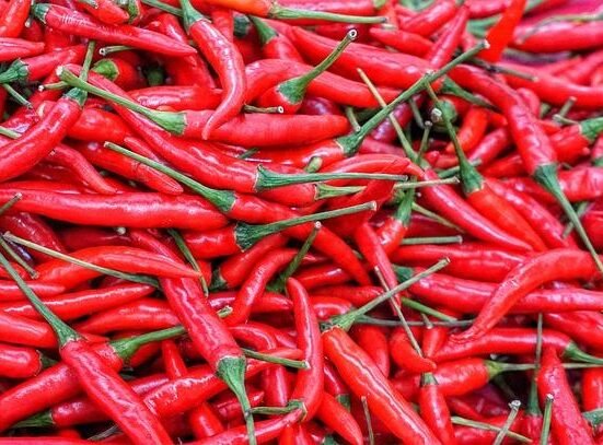 How to Batch Cook Like a Pro