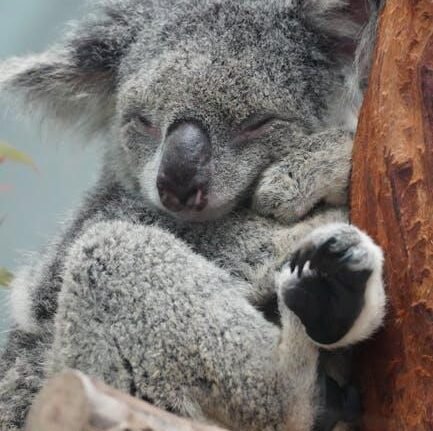 How Much Sleep Do You Really Need?