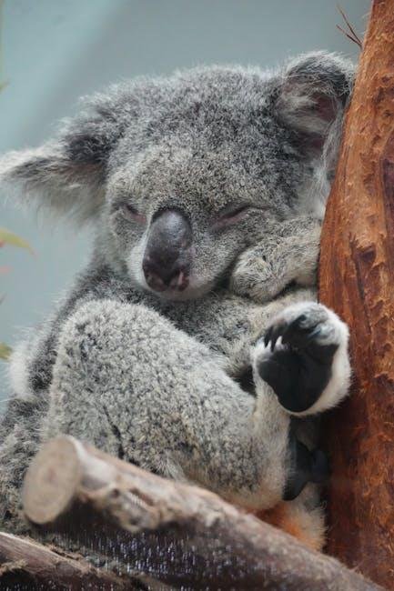 How Much Sleep Do You Really Need?