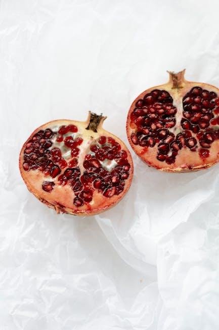 Common Misconceptions About Nutritional Completeness in Plant-Based Diets