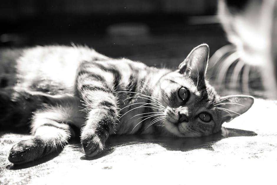 Establishing Consistent Sleep Signals
