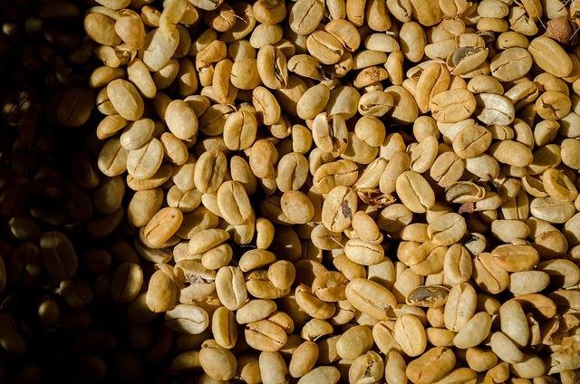 How Food Subsidies Influence Agricultural Production