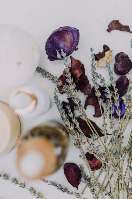 The Connection Between Gratitude and Physical Health Improvements