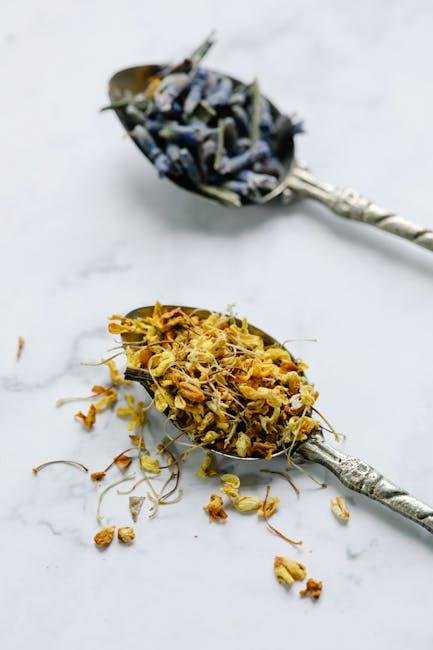 Herbal Teas that Soothe and Relieve Discomfort