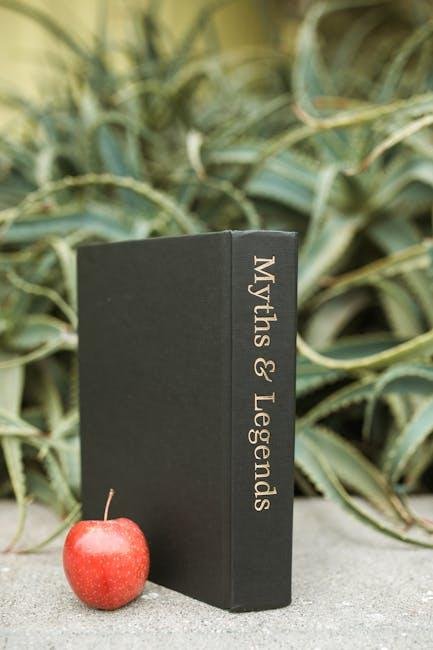 Common Myths and Misconceptions Examined