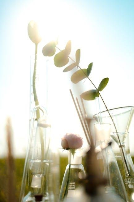 Understanding the Science Behind Sustainable Weight Loss