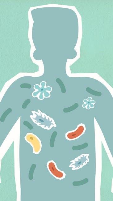 Probiotics for Gut Health and Immune Balance