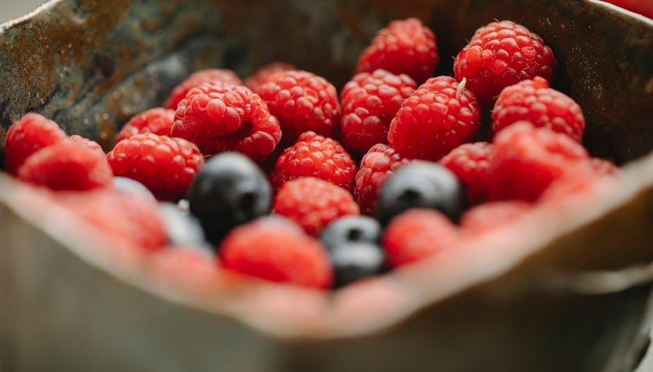 Balancing Protein Intake with Other Nutrients for Optimal Results