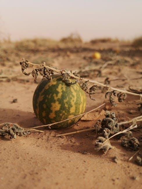 The Impact of Climate Change on Food Security and Nutrient Availability