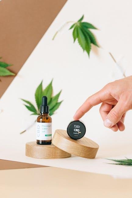 Holistic Wellness Platforms Combining Multiple Health Aspects