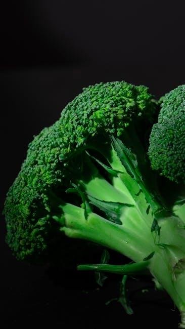 Harnessing Vitamins and Minerals to Support Cognitive and Physical Vitality