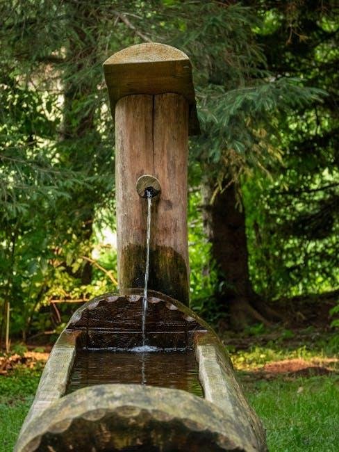Harnessing the Power of Hydration and Balanced Diets