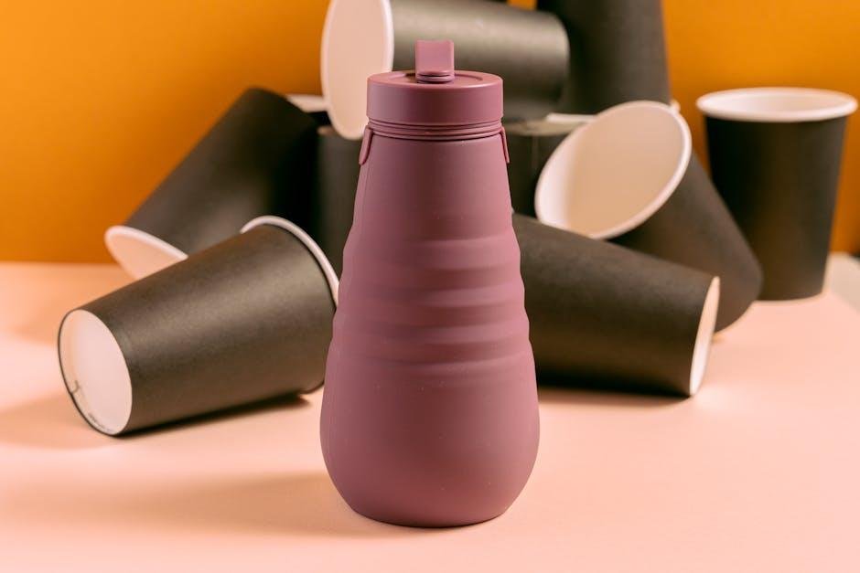 Sustainable Packaging and Ethical Sourcing in Functional Beverages
