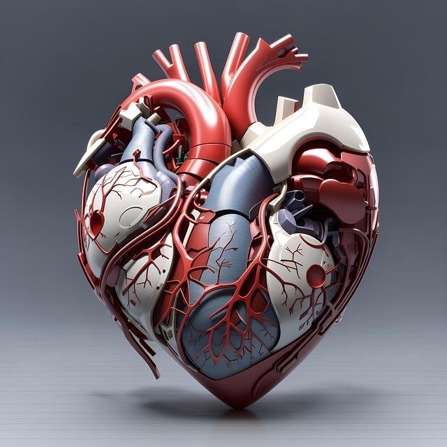 The Role of Stress Management in Cardiovascular Wellness