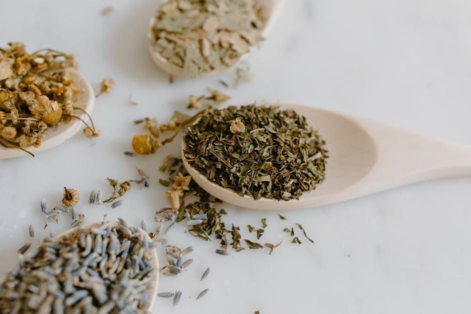 Natural Anti-Inflammatory Compounds for Reducing Age-Related Inflammation