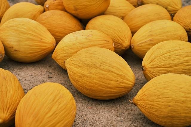 Incorporating Seasonal Nutrition to Boost Workout Performance