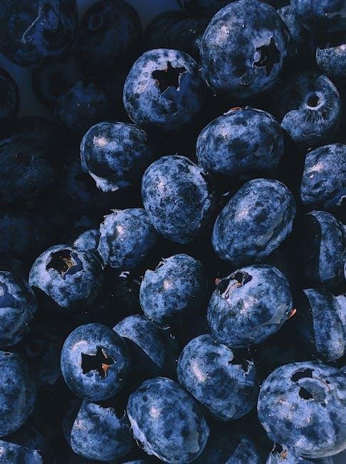 Understanding Macros and Their Role in a Keto Lifestyle