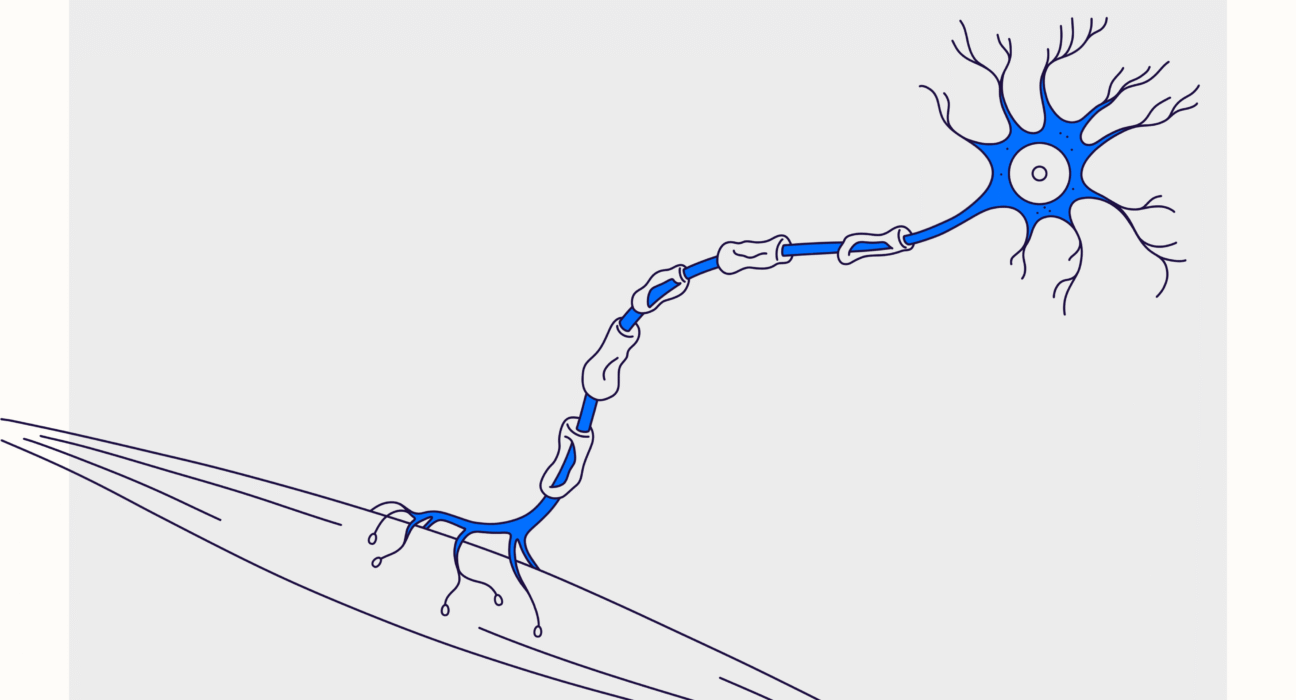 Amyotrophic Lateral Sclerosis (ALS): Symptoms & Treatment