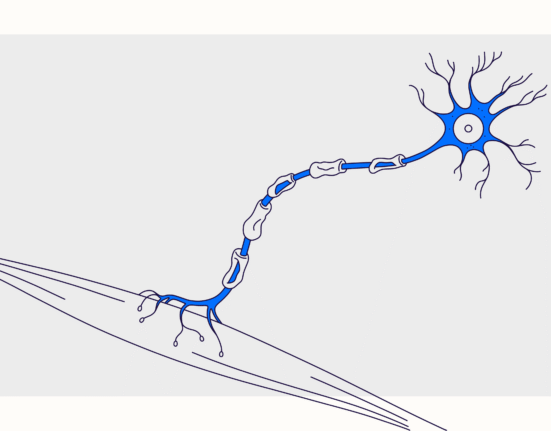 Amyotrophic Lateral Sclerosis (ALS): Symptoms & Treatment