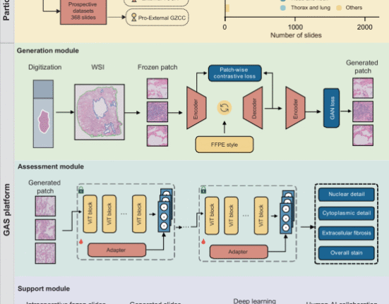 An end-to-end multifunctional AI platform for intraoperative diagnosis