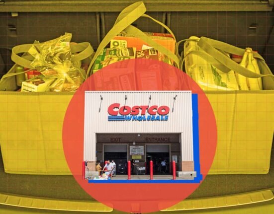 Costco Shoppers Need These ‘Incredibly Sturdy’ Shopping Bags