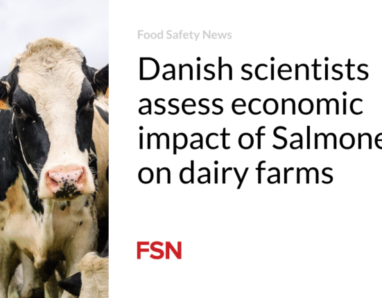 Danish scientists assess economic impact of Salmonella on dairy farms