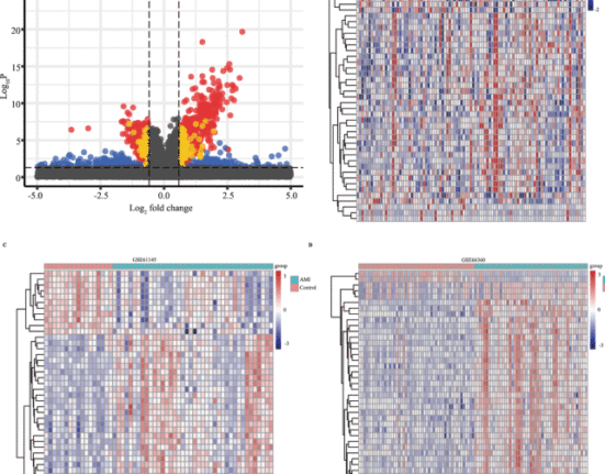 Identification of clinical diagnostic and immune cell infiltration characteristics of acute myocardial infarction with machine learning approach