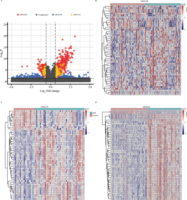 Identification of clinical diagnostic and immune cell infiltration characteristics of acute myocardial infarction with machine learning approach