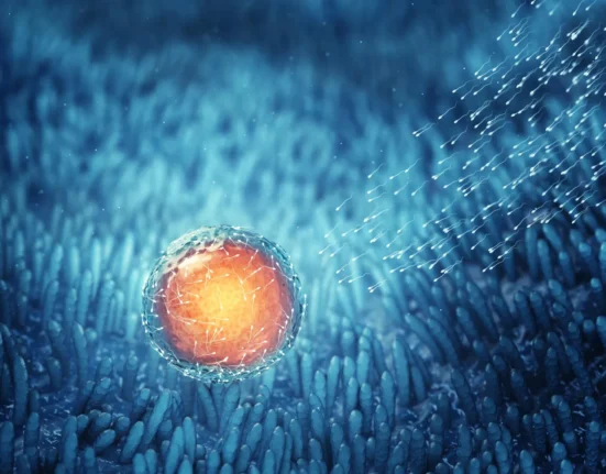 Nature’s longevity hack: How human eggs stay fresh for 50 years