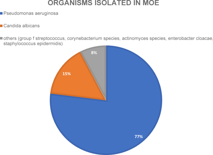 Patient cases with malignant otitis externa at the university clinic of Ludwig Maximilians University Munich from 2009 until 2020