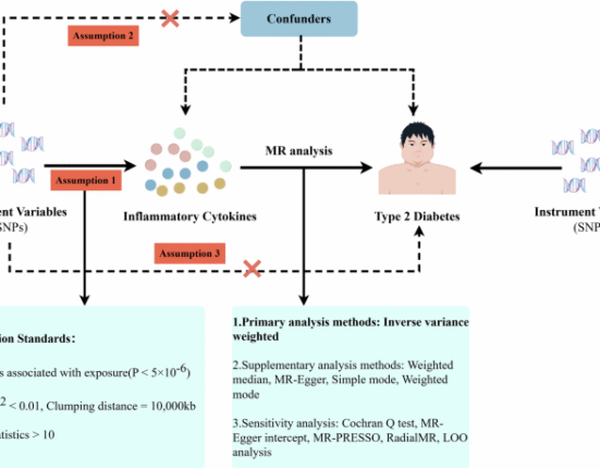 Single-cell transcriptome atlas and genome-wide Mendelian randomization reveal chemokine involvement in diverse immune cells in type 2 diabetes