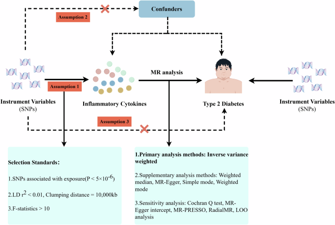 Single-cell transcriptome atlas and genome-wide Mendelian randomization reveal chemokine involvement in diverse immune cells in type 2 diabetes
