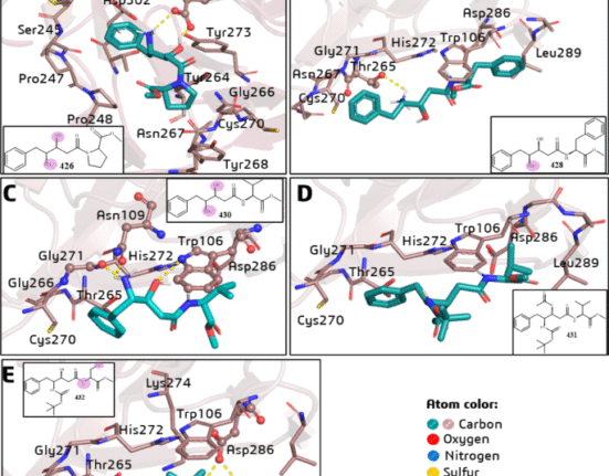 Statine-based peptidomimetics as SARS-CoV-2 Papain-like protease inhibitors: in Silico and in vitro studies