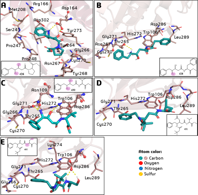 Statine-based peptidomimetics as SARS-CoV-2 Papain-like protease inhibitors: in Silico and in vitro studies