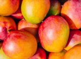 What Happens to Your Body When You Eat Mangoes Regularly