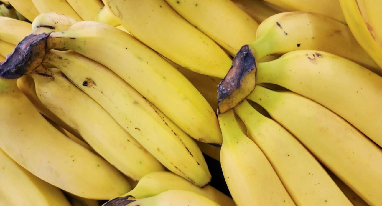 What Happens to Your Gut When You Eat Bananas Regularly?