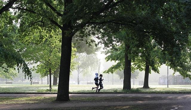 The Power of Movement in Strengthening Immunity