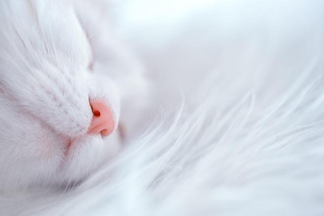Incorporating Gentle Movement and Relaxation Techniques