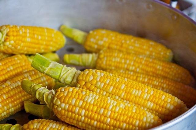 The Role of Micronutrients in Disease Prevention and Health Promotion